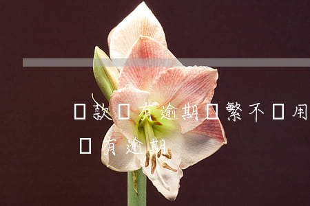 貸款沒有逾期頻繁不讓用(頻繁使用貸款但是沒有逾期)