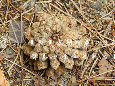 貸款沒逾期就暴力催收(現(xiàn)在還有暴力催收欠款的嗎)