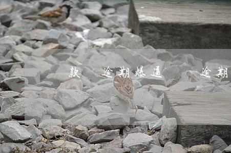 貸款沒逾期爆通訊錄(逾期了怎么爆通訊錄)