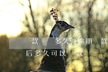 貸款沒還多久算逾期(貸款逾期沒有還,還完了后多久可以貸款)