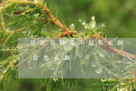 貸款沒錢還不起怎么辦-貸款了沒有錢還貸款怎么辦