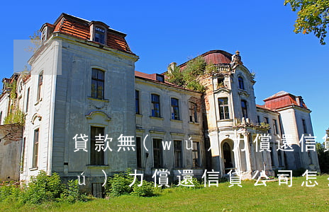 貸款無(wú)力償還信貸公司(貸款無(wú)力償還信貸公司怎么辦)