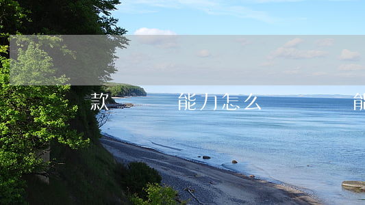 貸款無償還能力怎么辦(無償還能力借款)