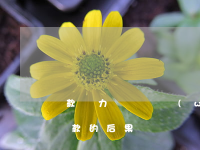 貸款無力償還債務(wù)新政策（無力償還貸款的后果）