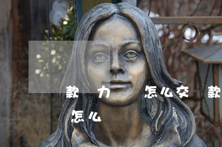 貸款無力償還怎么交(貸款無力償還怎么辦我該怎么辦)