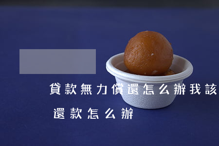 貸款無力償還怎么辦我該怎么辦(貸款人無力還款怎么辦)