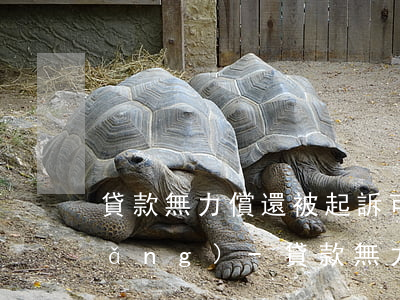 貸款無力償還被起訴可不可以不到場(chǎng)-貸款無力償還起訴了