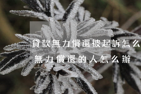 貸款無力償還被起訴怎么辦(民間借貸被起訴無力償還的人怎么辦)