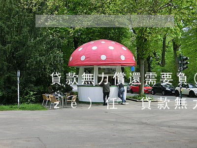 貸款無力償還需要負(fù)什么法律責(zé)任-貸款無力償還需要負(fù)什么法律責(zé)任呢