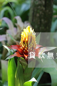 貸款無短信通知導(dǎo)致逾期