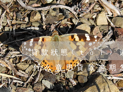 貸款狀態(tài)逾期是什么(貸款逾期是什么意思,貸款逾期怎么辦?)