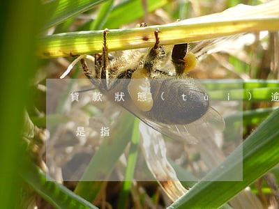 貸款狀態(tài)逾期是啥意思(逾期貸款是指)