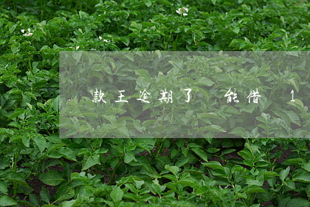 貸款王逾期了還能借嗎(17次逾期還能下房貸嗎)