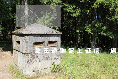 貸款王逾期是上征信嗎(借款大王逾期上征信嗎)