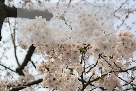 貸款產(chǎn)生逾期怎么消除(貸款發(fā)生逾期,怎么處理)
