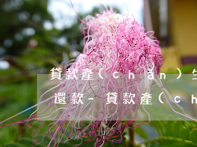 貸款產(chǎn)生逾期需何時進行逾期還款-貸款產(chǎn)生逾期需何時進行逾期還款申請
