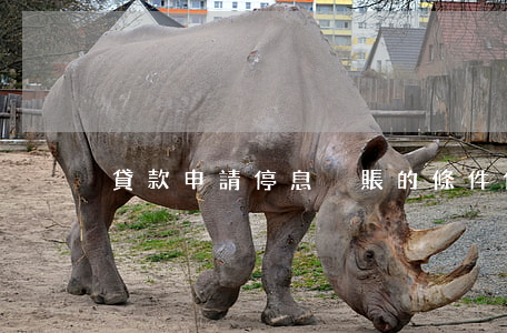 貸款申請停息掛賬的條件(停息掛賬好申請嗎)