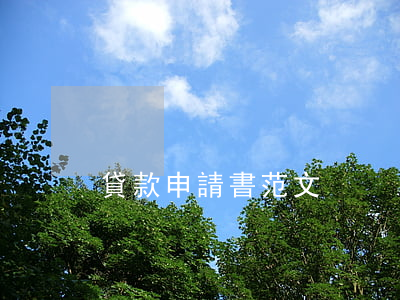 貸款申請書范文