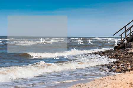 貸款申請書范文(個(gè)人貸款申請書怎么寫范文)