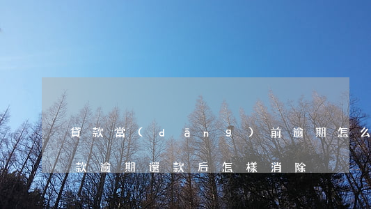 貸款當(dāng)前逾期怎么還清(銀行貸款逾期還款后怎樣消除)
