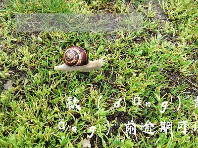 貸款當(dāng)前逾期是本月嗎(當(dāng)前逾期可以貸款嗎)