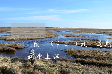 貸款發(fā)放時逾期浮動(逾期1次貸款利率上浮)