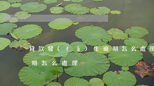 貸款發(fā)生逾期怎么處理(住房貸款逾期怎么處理)