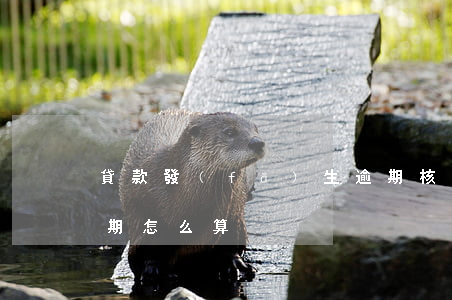 貸款發(fā)生逾期核算方法(銀行貸款逾期怎么算)