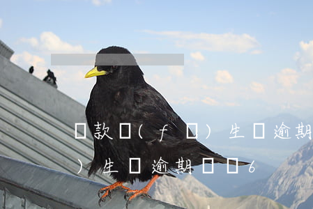 貸款發(fā)生過逾期90(貸款發(fā)生過逾期賬戶6)