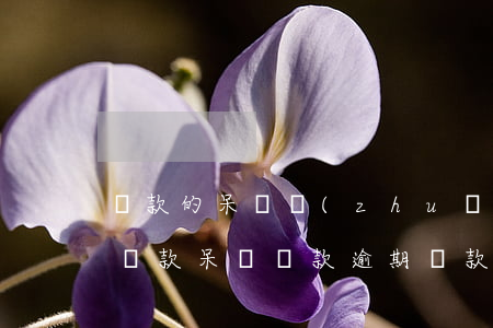 貸款的呆賬轉(zhuǎn)為逾期了(呆賬貸款 呆滯貸款 逾期貸款)
