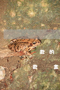 貸款的錢(qián)怎么入股市(如何將貸款資金轉(zhuǎn)到股票)