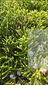 貸款糾紛過錯方如何賠償，銀行貸款明顯過錯法律責任