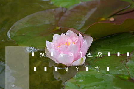 貸款結清后有逾期記錄(發(fā)生逾期的記錄結清了還有嗎)