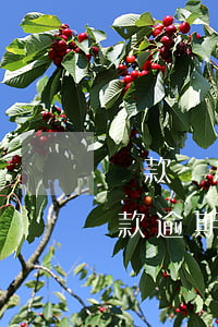 貸款緊急聯(lián)系人逾期了(朋友貸款逾期留的我緊急聯(lián)系人)