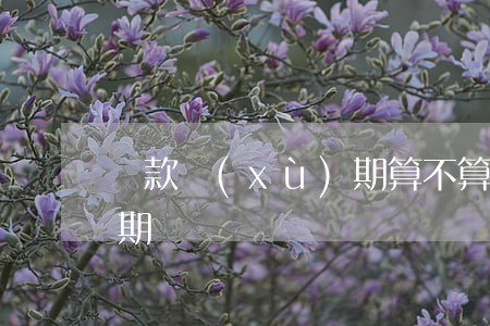 貸款續(xù)期算不算逾期(貸款多久算逾期)