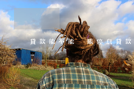 貸款能不能掛賬停息 貸款可以停息還本金嗎