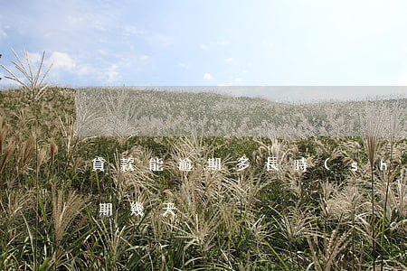 貸款能逾期多長時(shí)間(貸款可以逾期幾天)