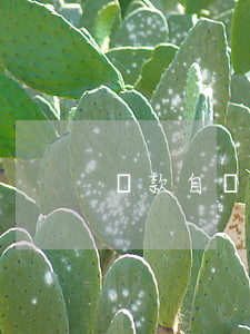 貸款自動扣代表沒逾期