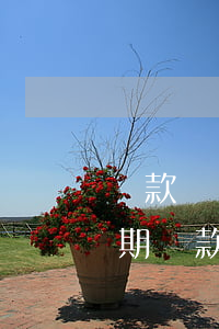 貸款號(hào)碼變了導(dǎo)致逾期(貸款狀態(tài)顯示逾期)