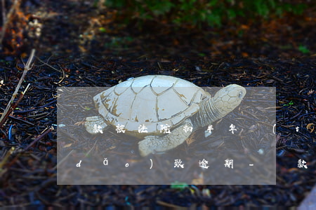 貸款被法院扣半年統(tǒng)一劃導(dǎo)致逾期-貸款逾期法院起訴后按月還款還扣其他錢嗎