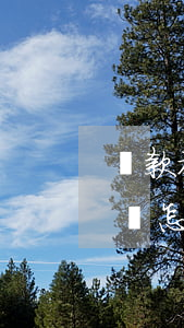 貸款被起訴了沒(méi)錢(qián)還怎么辦(貸款沒(méi)還上被起訴了怎么辦)