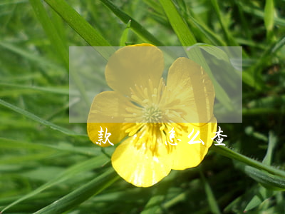 貸款記錄怎么查