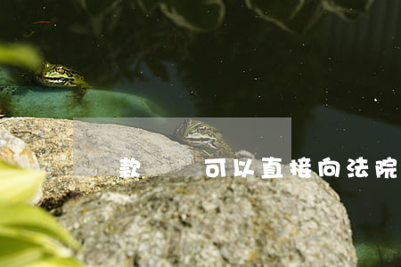 貸款詐騙可以直接向法院起訴嗎