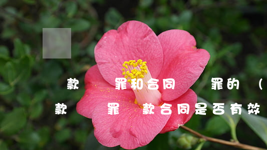 貸款詐騙罪和合同詐騙罪的區(qū)別(貸款詐騙罪貸款合同是否有效)