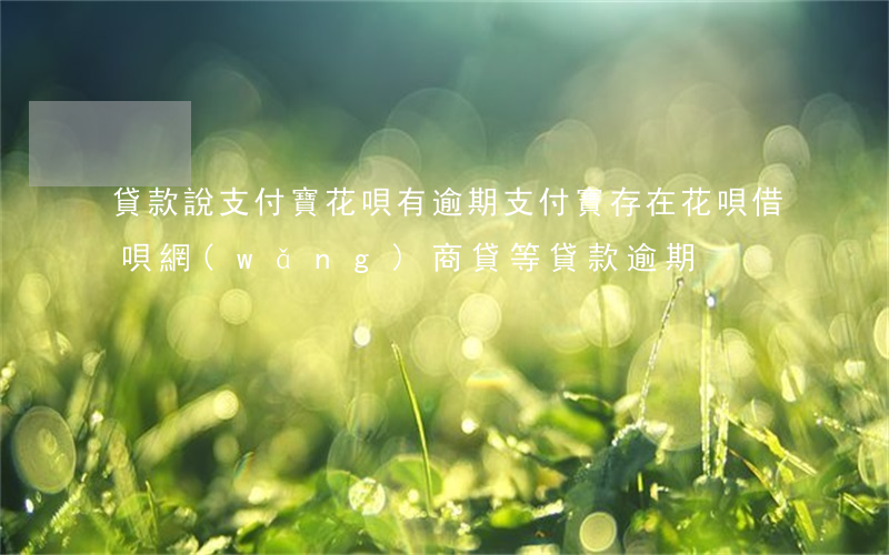 貸款說支付寶花唄有逾期(支付寶存在花唄借唄網(wǎng)商貸等貸款逾期)