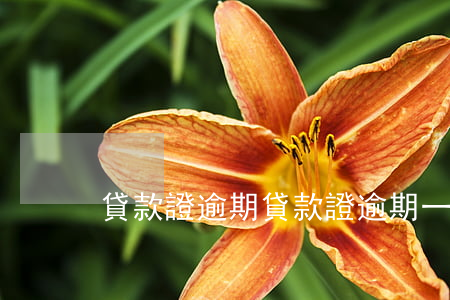 貸款證逾期，貸款證逾期一天