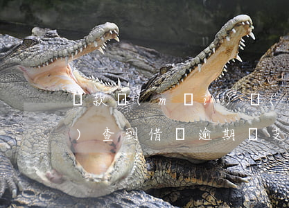 貸款買(mǎi)車(chē)會(huì)查到借唄逾期嗎(支付寶借唄逾期過(guò)但已還清還能貸款買(mǎi)車(chē)嗎)