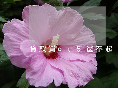 貸款買ct5還不起