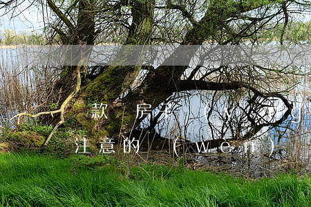 貸款買房子應(yīng)當(dāng)注意的問(wèn)題有哪些（貸款買房要注意什么）