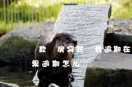 貸款買房突然說我逾期(在銀行貸款買房子,如果逾期怎么辦)